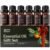 Lagunamoon Essential Oils Holiday Set – 6 Oils for Diffusers, Home Care, Candle Making Scents, Fragrance, Aromatherapy, Humidifiers, Gifts – Peppermint, Tea Tree, Lavender, Eucalyptus, Orange (10mL)